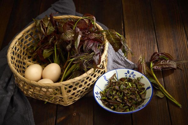 《方向盘上的城市》
